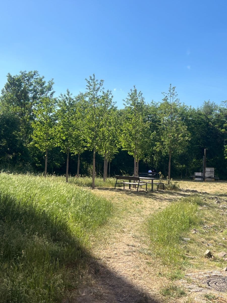 Pronájem bytu 2+kk 61 m², Vrátnická, Praha, Praha Pronájem bytu 2+kk 61 m², Vrátnická, Praha, Praha