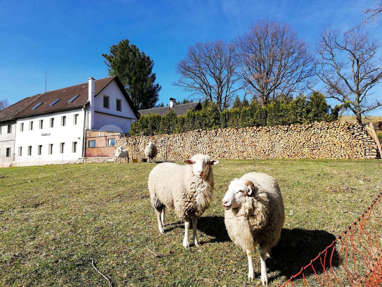 Pronájem chaty, chalupy, Nová Pec, Jihočeský kraj Pronájem chaty, chalupy, Nová Pec, Jihočeský kraj