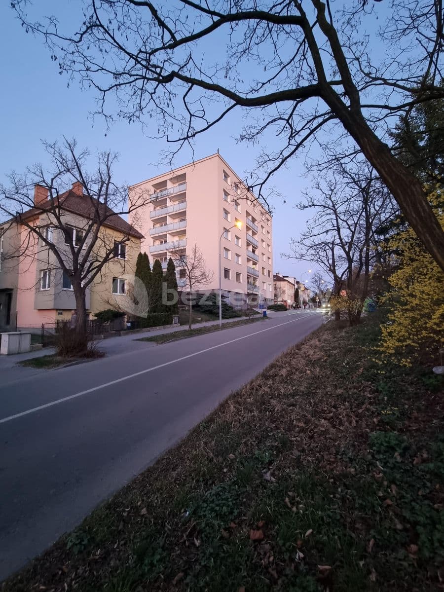 Pronájem bytu 2+kk 48 m², Bělohorská, Brno, Jihomoravský kraj Pronájem bytu 2+kk 48 m², Bělohorská, Brno, Jihomoravský kraj