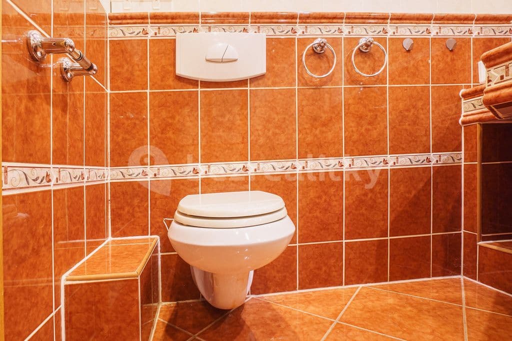 Pronájem bytu 2+1 60 m², Lesní, Cheb, Karlovarský kraj Pronájem bytu 2+1 60 m², Lesní, Cheb, Karlovarský kraj