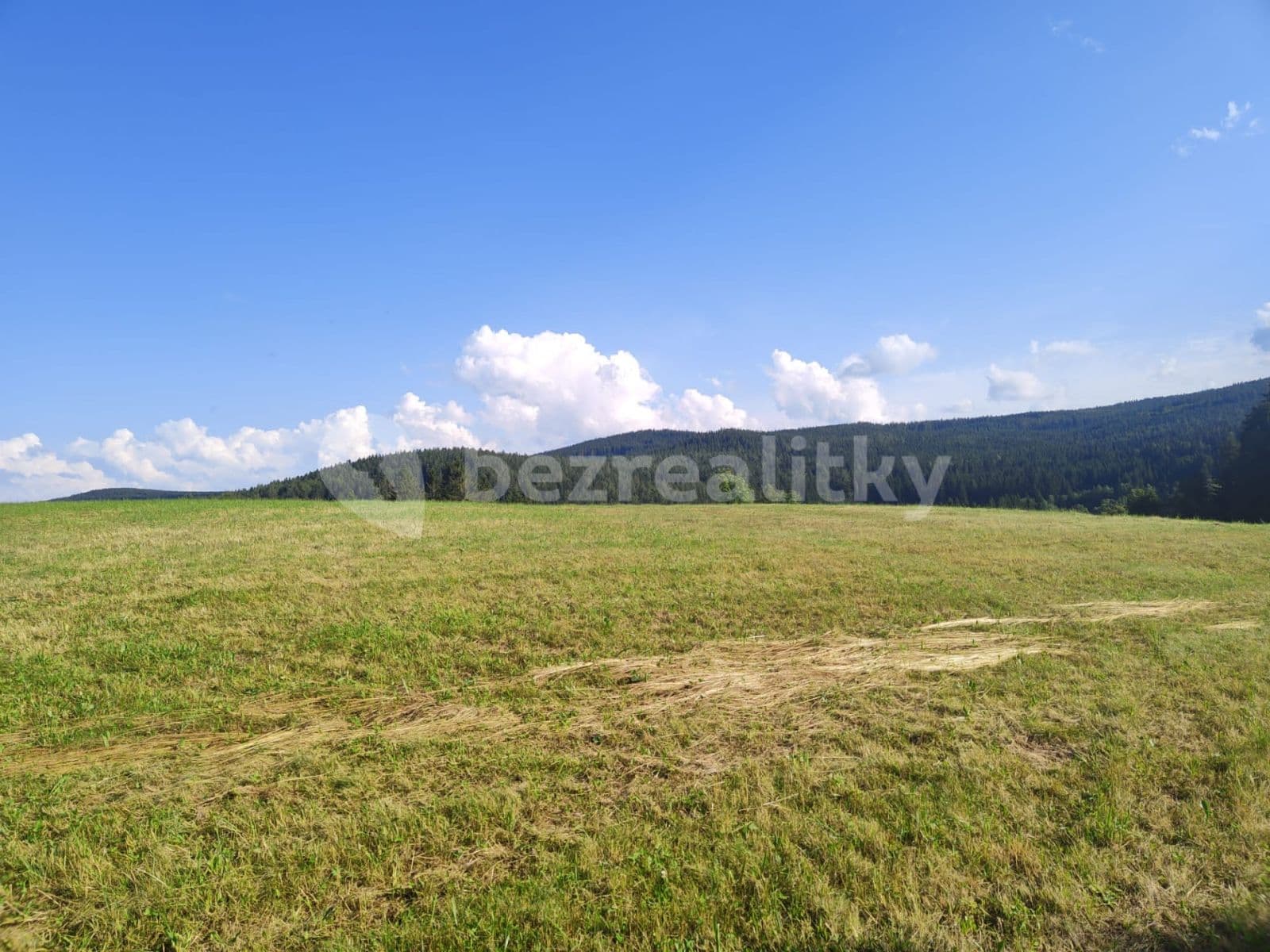 Prodej pozemku 7.699 m², Zdíkov, Jihočeský kraj