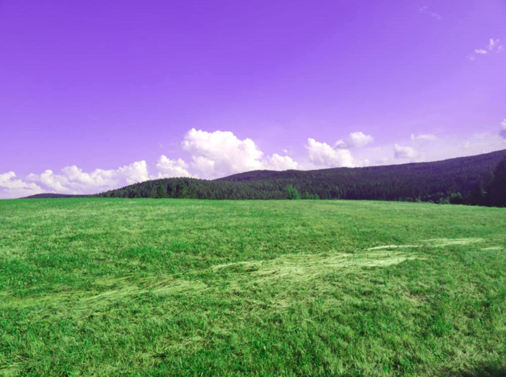 Prodej pozemku 7.699 m², Zdíkov, Jihočeský kraj Prodej pozemku 7.699 m², Zdíkov, Jihočeský kraj