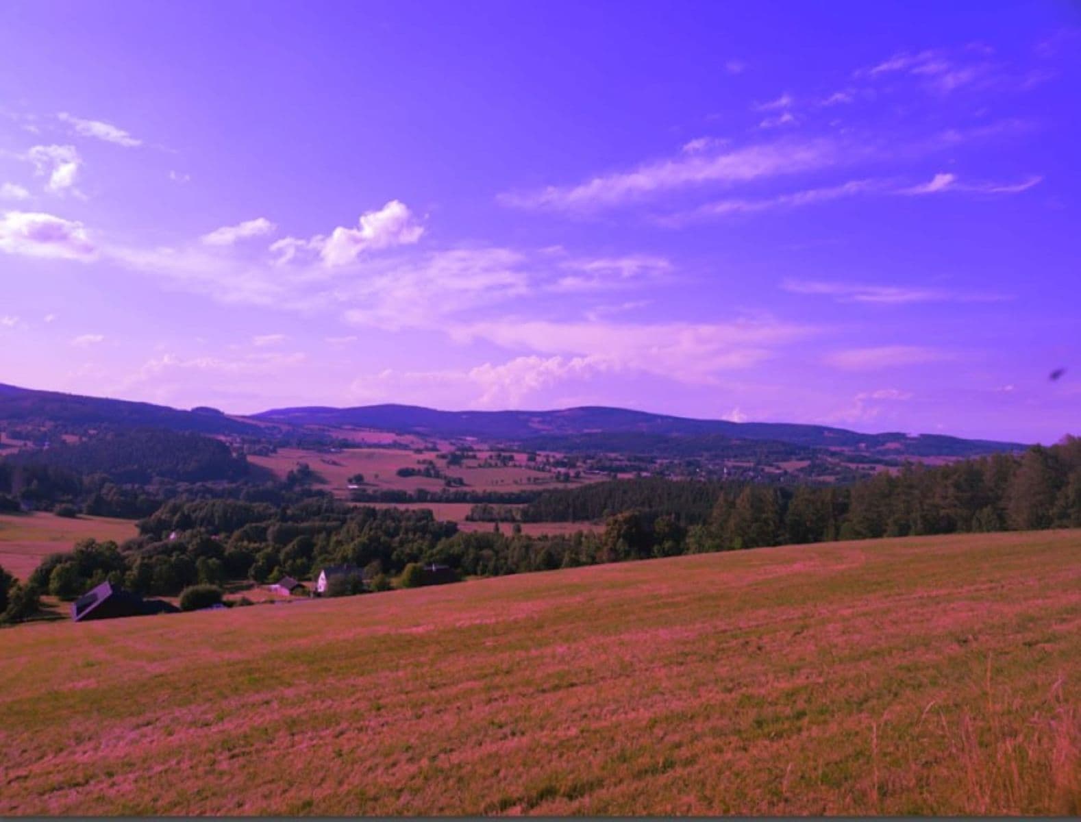 Prodej pozemku 7.699 m², Zdíkov, Jihočeský kraj Prodej pozemku 7.699 m², Zdíkov, Jihočeský kraj