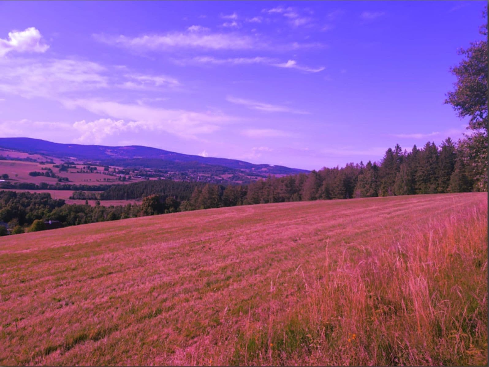 Prodej pozemku 7.699 m², Zdíkov, Jihočeský kraj Prodej pozemku 7.699 m², Zdíkov, Jihočeský kraj