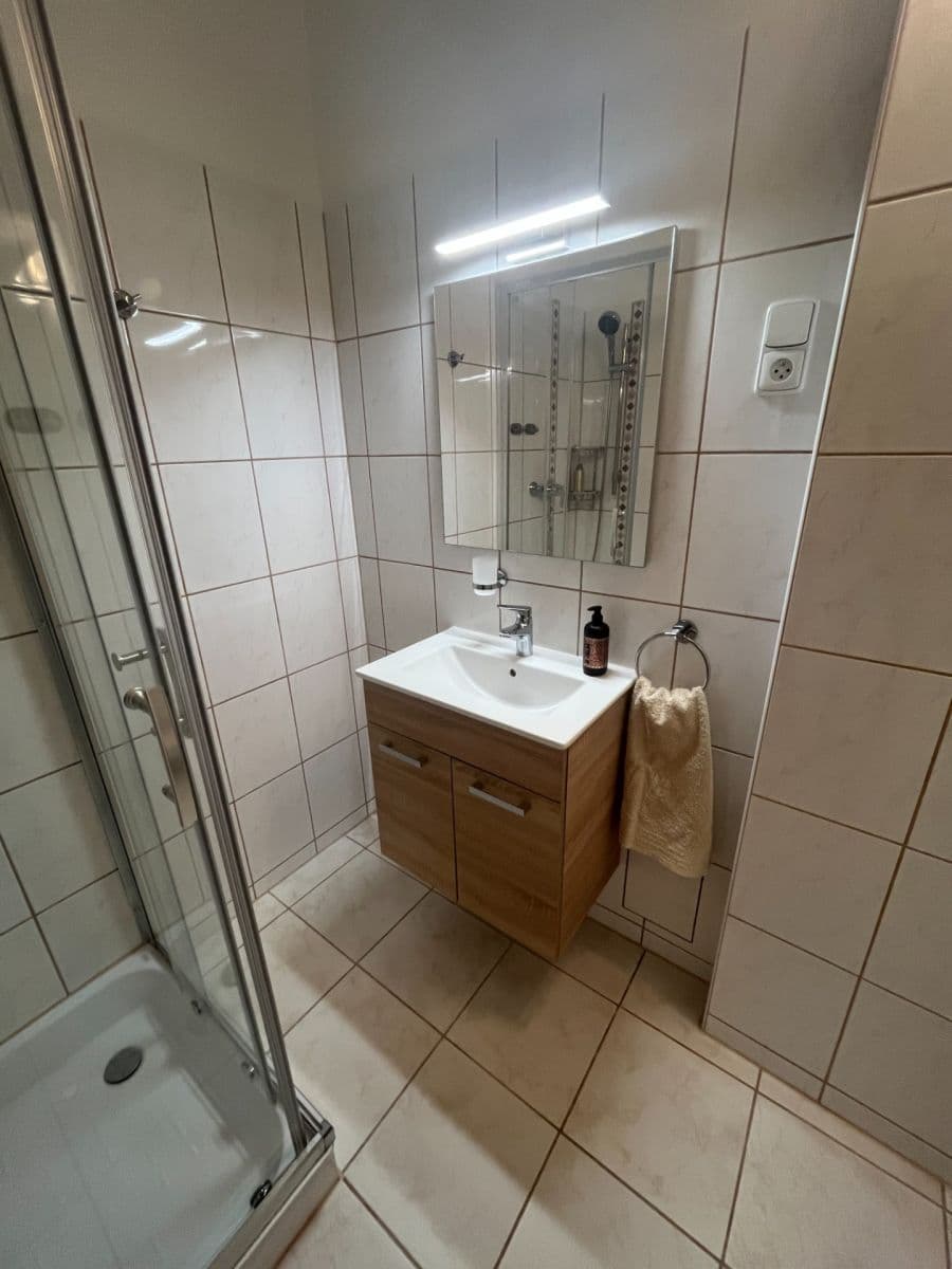 Pronájem bytu 1+1 46 m², Maškova, Brno, Jihomoravský kraj Pronájem bytu 1+1 46 m², Maškova, Brno, Jihomoravský kraj