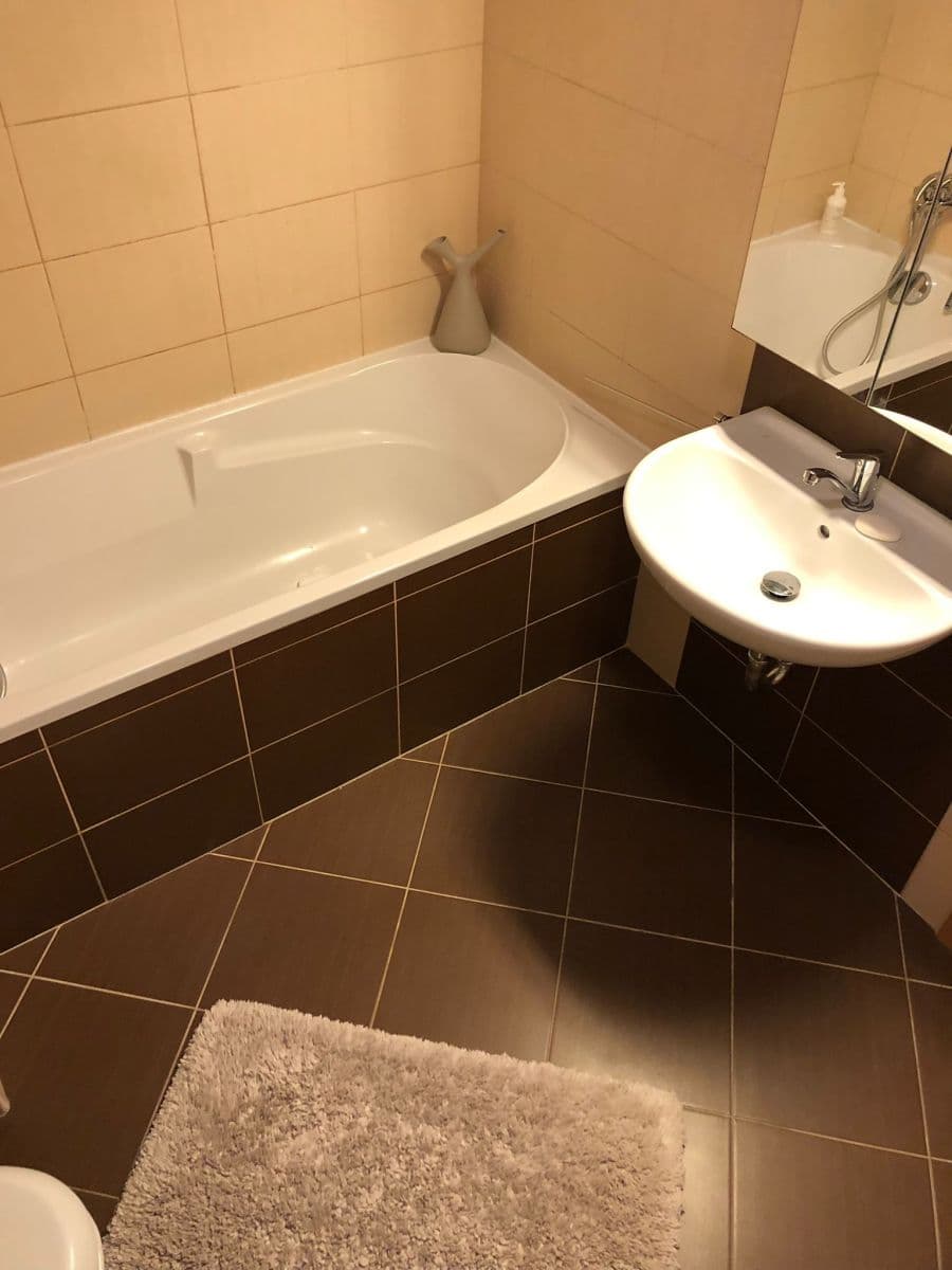 Pronájem bytu 1+kk 60 m², Devonská, Praha, Praha Pronájem bytu 1+kk 60 m², Devonská, Praha, Praha