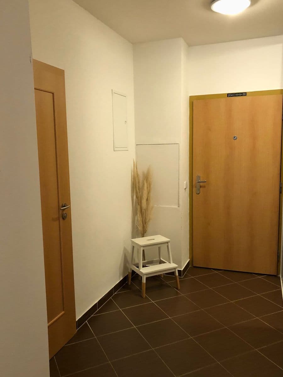 Pronájem bytu 1+kk 60 m², Devonská, Praha, Praha Pronájem bytu 1+kk 60 m², Devonská, Praha, Praha