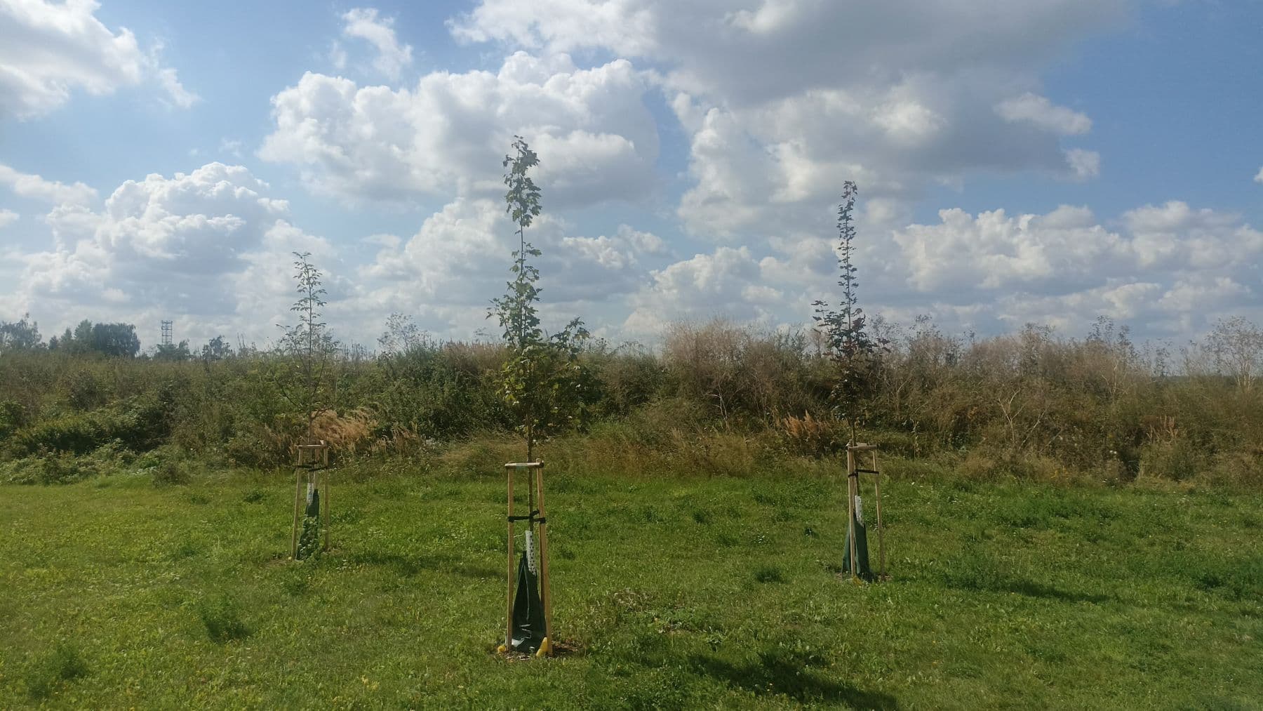 Pronájem bytu 1+kk 38 m², V Honech, Klecany, Středočeský kraj Pronájem bytu 1+kk 38 m², V Honech, Klecany, Středočeský kraj