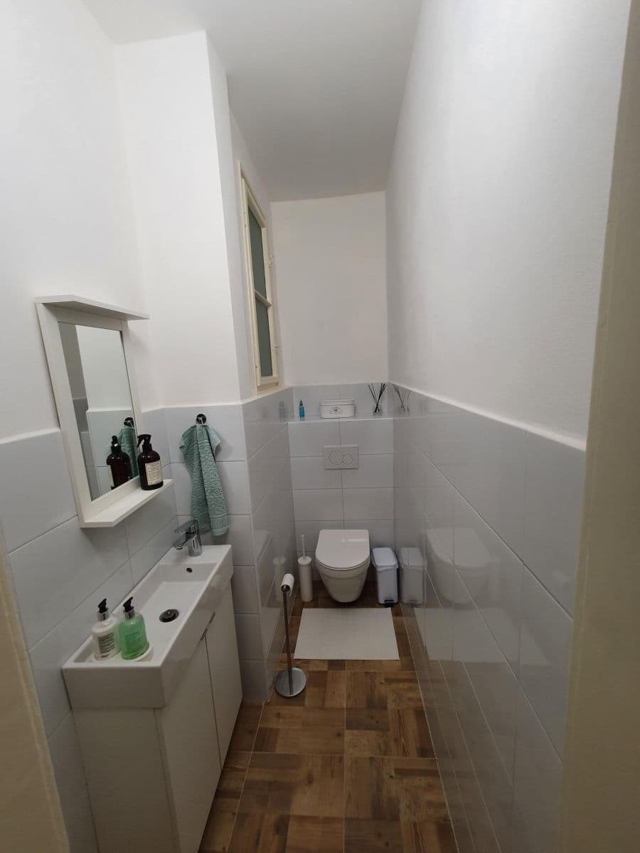 Pronájem bytu 3+1 133 m², Zoubkova, Praha, Praha Pronájem bytu 3+1 133 m², Zoubkova, Praha, Praha