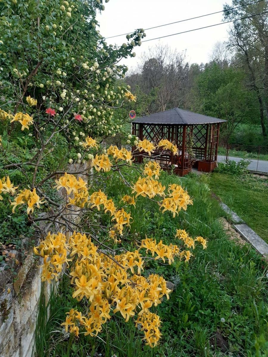 Pronájem chaty, chalupy, Leštinka, Pardubický kraj Pronájem chaty, chalupy, Leštinka, Pardubický kraj