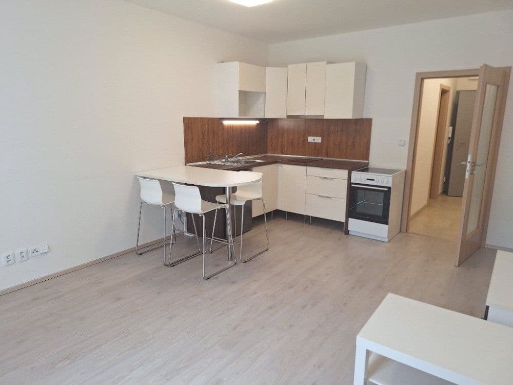 Pronájem bytu 1+kk 54 m², Vídeňská, Brno, Jihomoravský kraj Pronájem bytu 1+kk 54 m², Vídeňská, Brno, Jihomoravský kraj