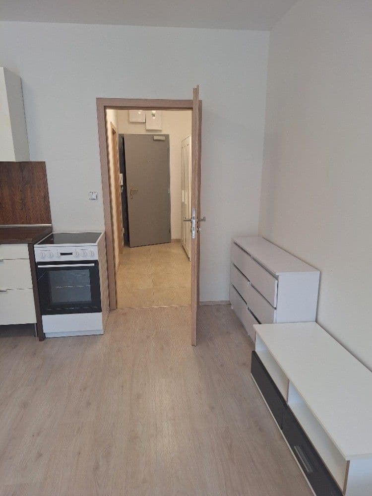 Pronájem bytu 1+kk 54 m², Vídeňská, Brno, Jihomoravský kraj Pronájem bytu 1+kk 54 m², Vídeňská, Brno, Jihomoravský kraj