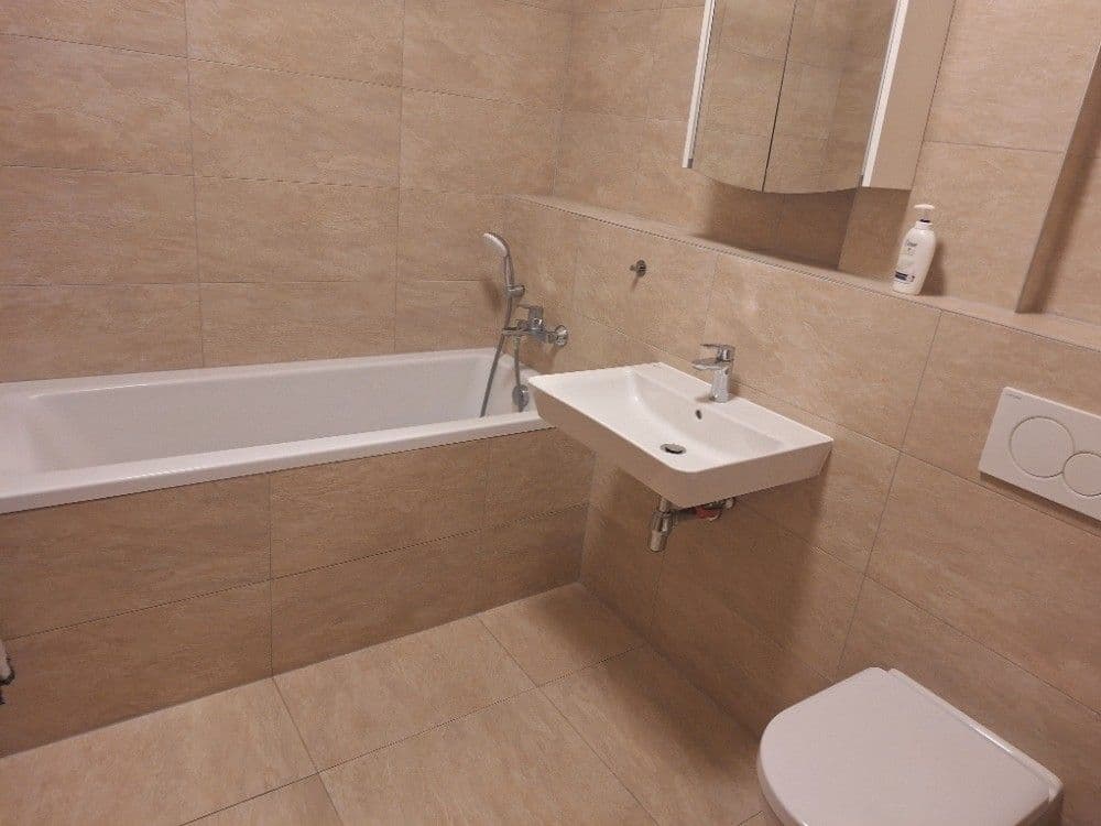 Pronájem bytu 1+kk 54 m², Vídeňská, Brno, Jihomoravský kraj Pronájem bytu 1+kk 54 m², Vídeňská, Brno, Jihomoravský kraj