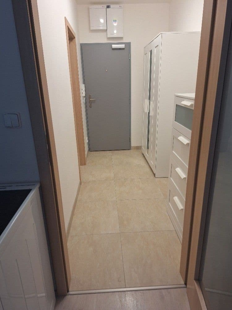 Pronájem bytu 1+kk 54 m², Vídeňská, Brno, Jihomoravský kraj Pronájem bytu 1+kk 54 m², Vídeňská, Brno, Jihomoravský kraj