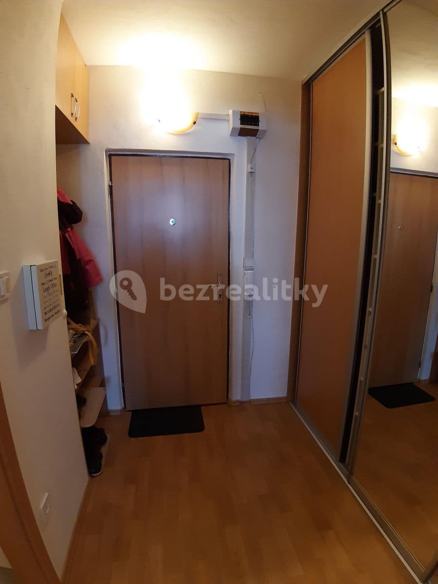 Pronájem bytu 1+kk 33 m², Elplova, Brno, Jihomoravský kraj Pronájem bytu 1+kk 33 m², Elplova, Brno, Jihomoravský kraj