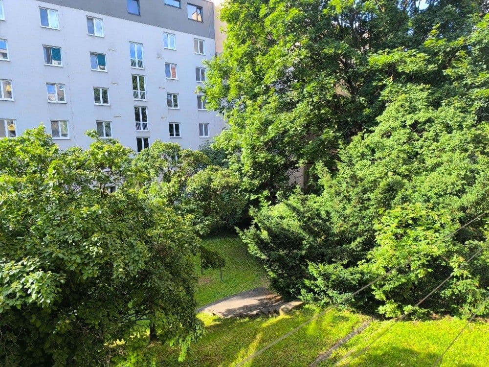 Pronájem bytu 1+1 38 m², Hlinky, Brno, Jihomoravský kraj Pronájem bytu 1+1 38 m², Hlinky, Brno, Jihomoravský kraj