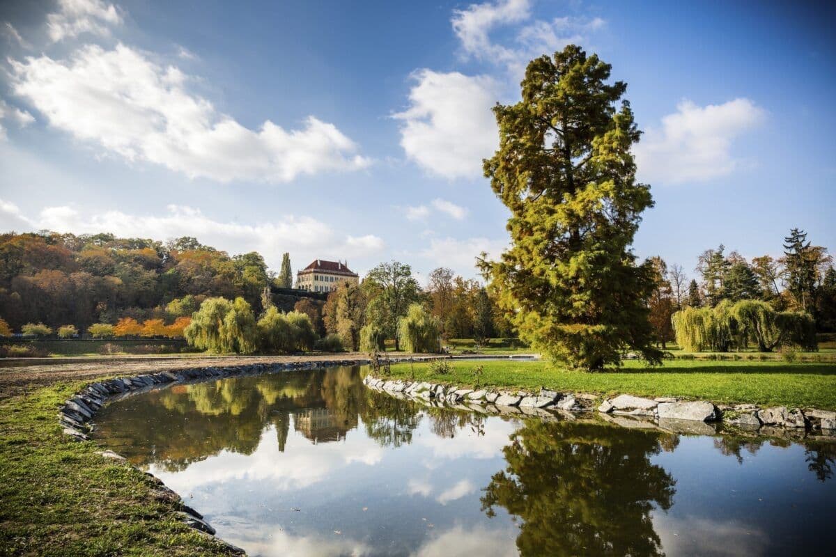 Pronájem bytu 3+kk 68 m², Malířská, Praha, Praha Pronájem bytu 3+kk 68 m², Malířská, Praha, Praha