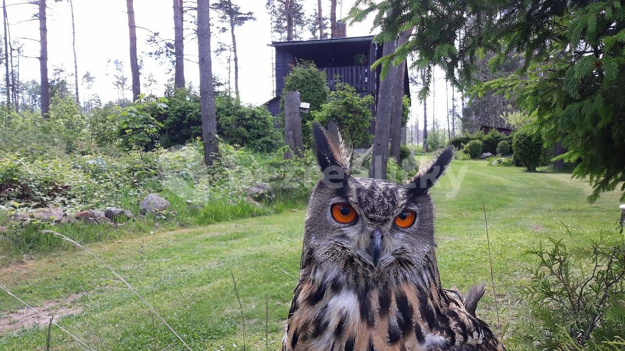 Pronájem chaty, chalupy, Smrčná, Kraj Vysočina Pronájem chaty, chalupy, Smrčná, Kraj Vysočina
