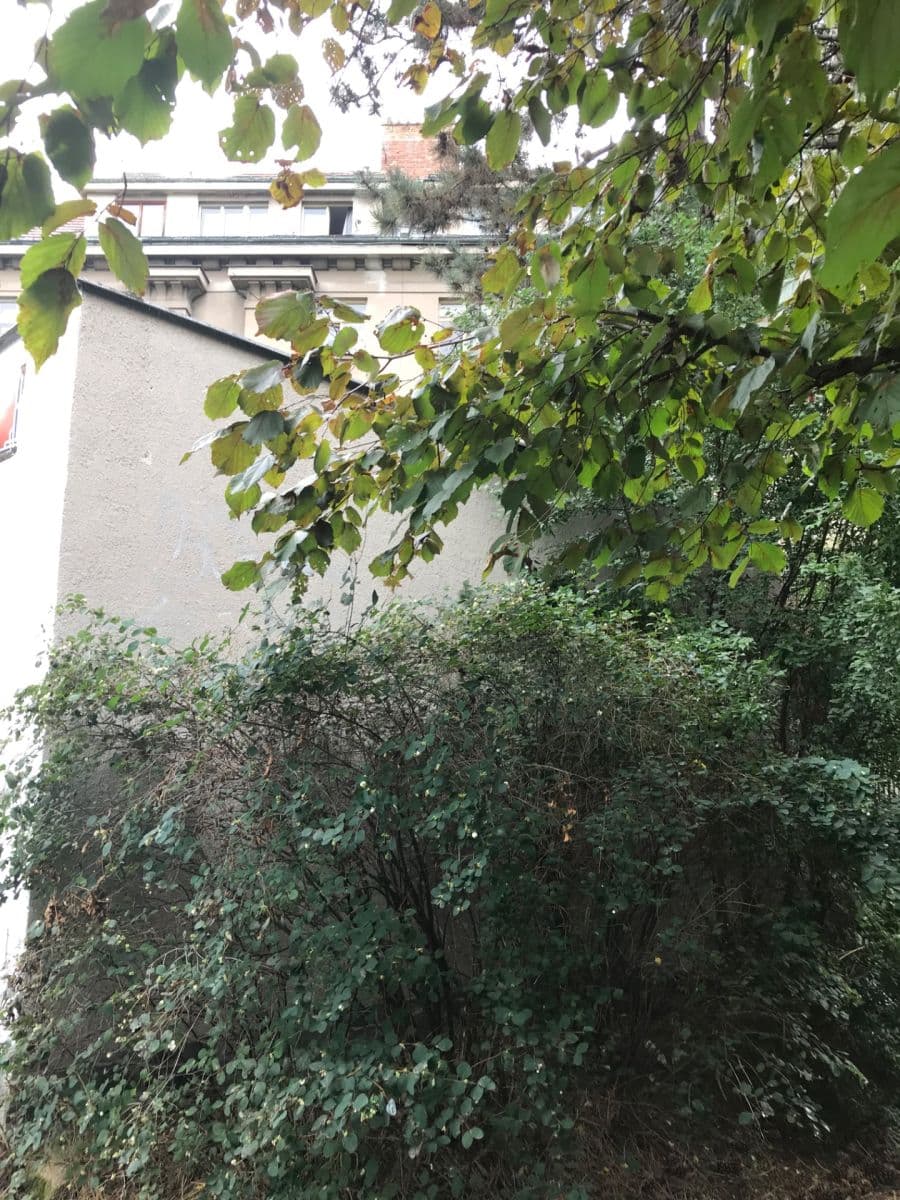 Prodej nebytového prostoru 27 m², Pod Pekařkou, Praha, Praha Prodej nebytového prostoru 27 m², Pod Pekařkou, Praha, Praha