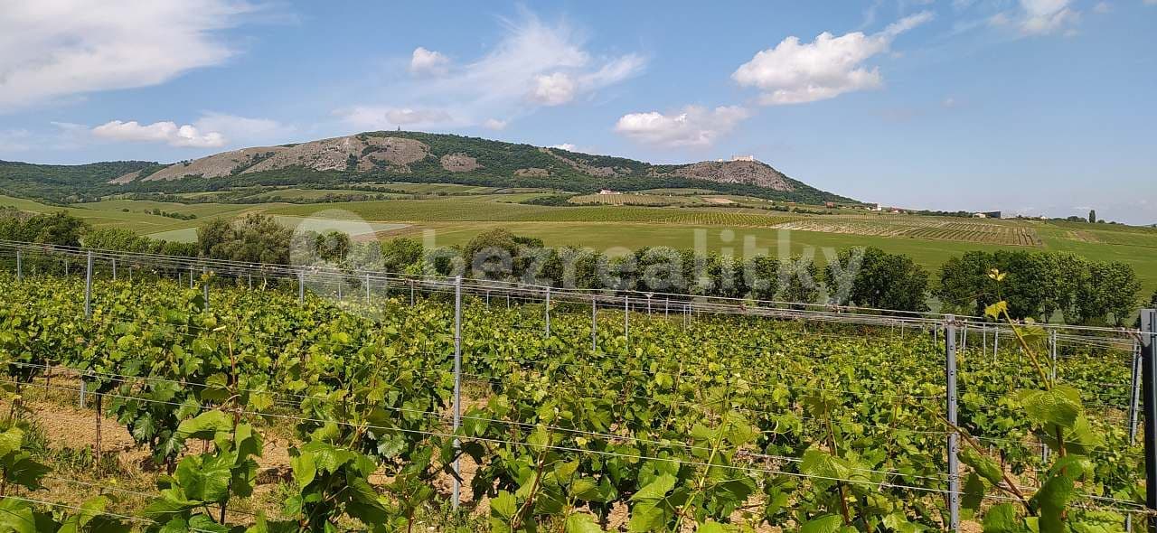 Pronájem chaty, chalupy, Milovice, Jihomoravský kraj Pronájem chaty, chalupy, Milovice, Jihomoravský kraj