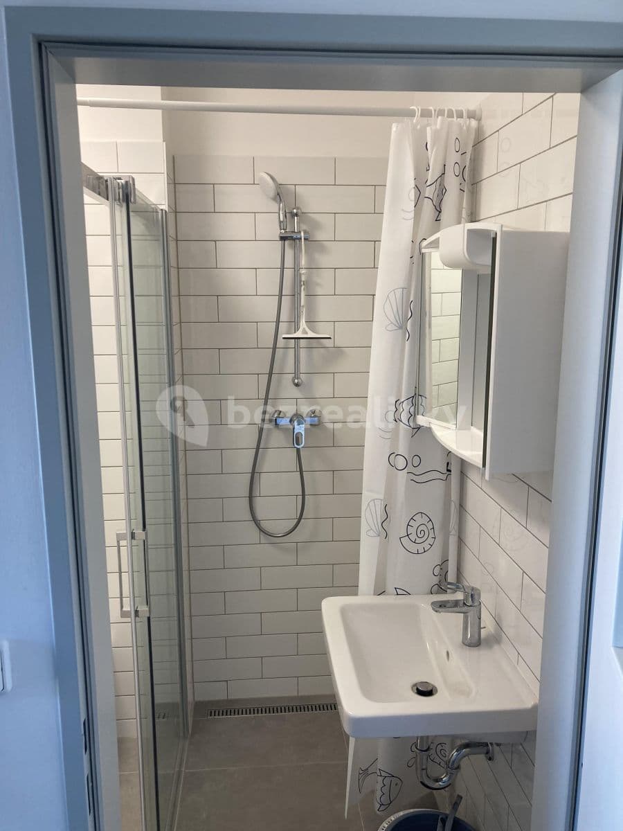 Pronájem bytu Garsoniéra 19 m², Křenová, Brno, Jihomoravský kraj Pronájem bytu Garsoniéra 19 m², Křenová, Brno, Jihomoravský kraj