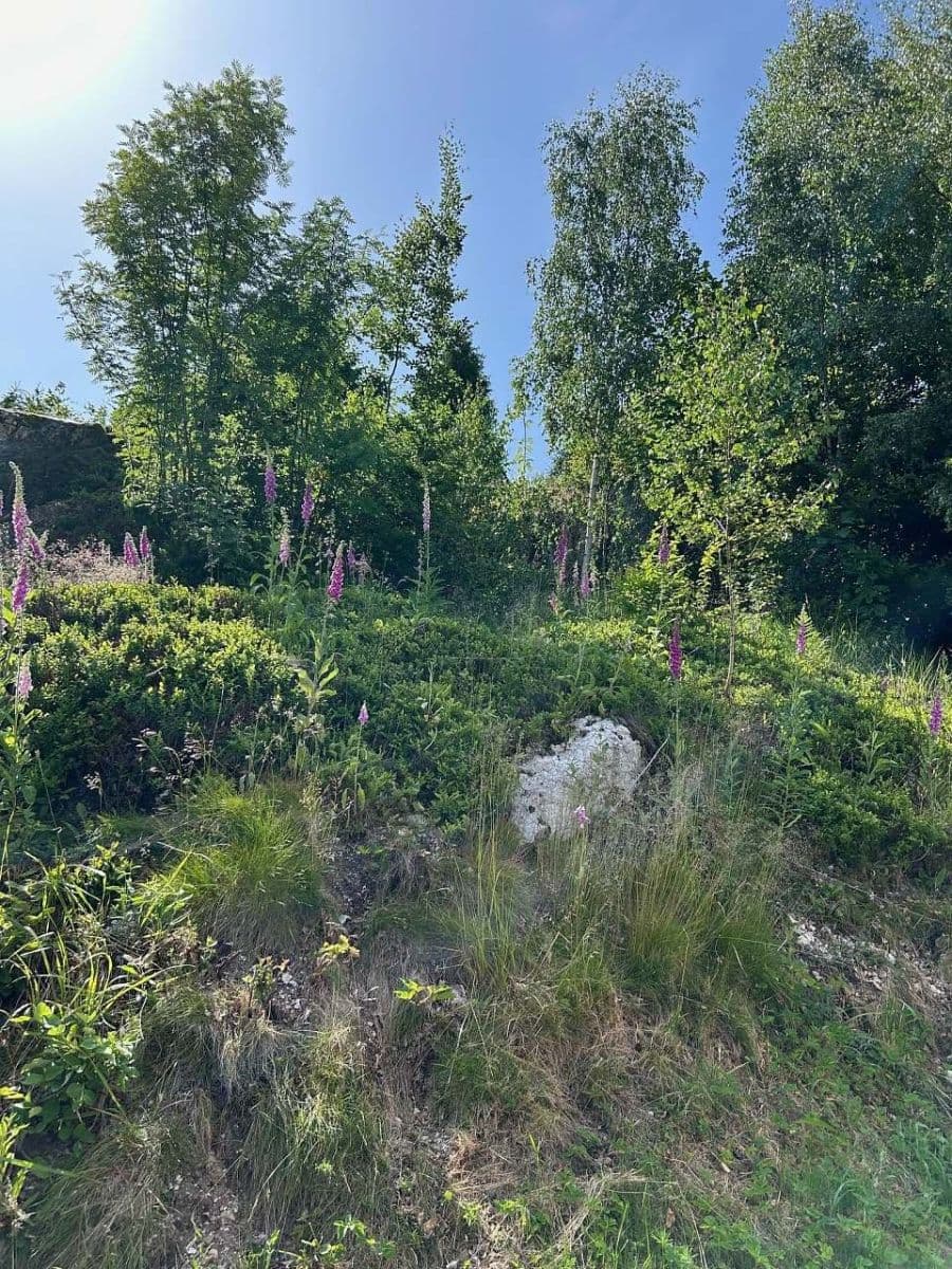 Pronájem chaty, chalupy, Karlova Studánka, Moravskoslezský kraj Pronájem chaty, chalupy, Karlova Studánka, Moravskoslezský kraj