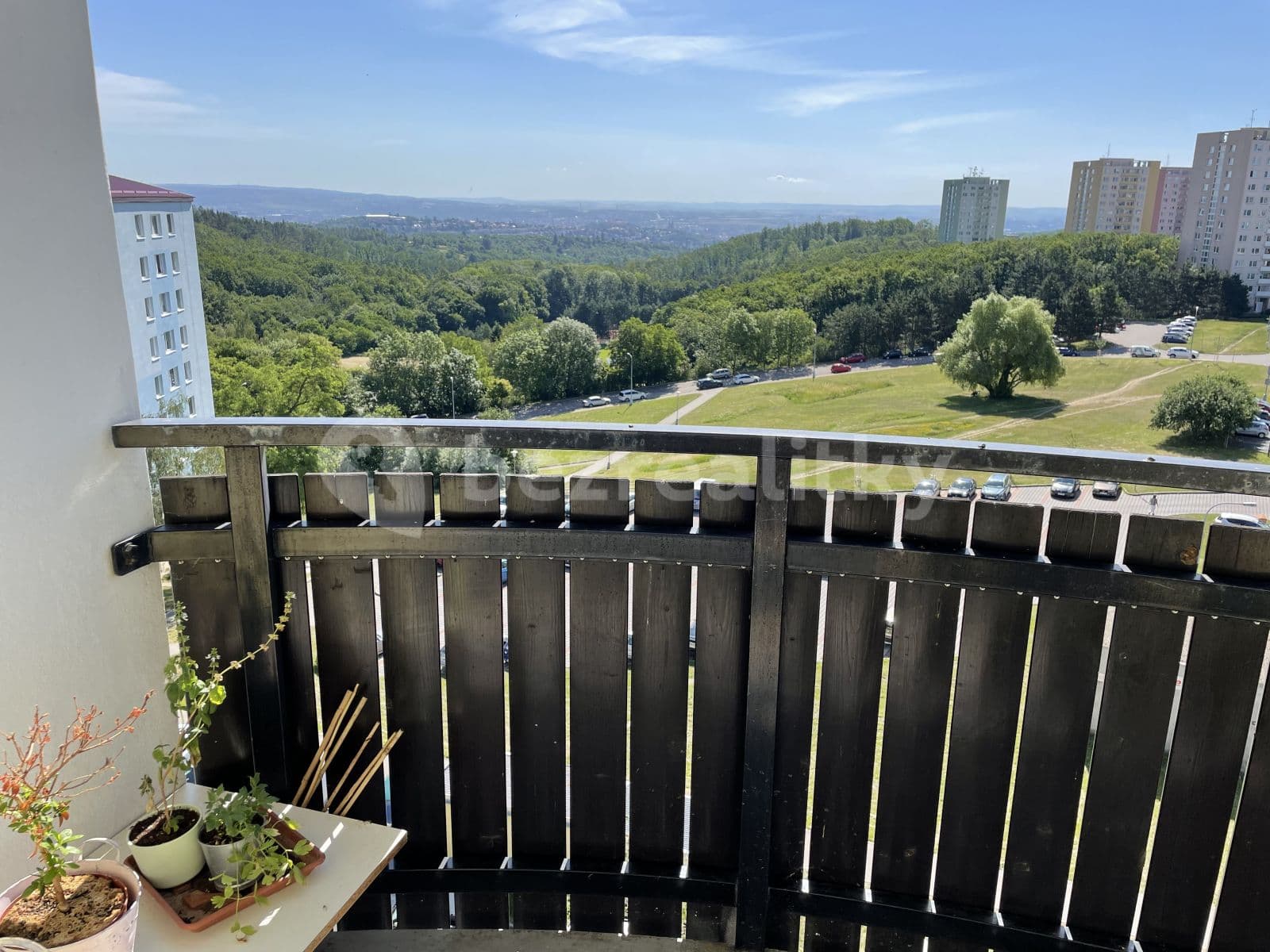 Pronájem bytu 3+1 75 m², Voříškova, Brno, Jihomoravský kraj Pronájem bytu 3+1 75 m², Voříškova, Brno, Jihomoravský kraj
