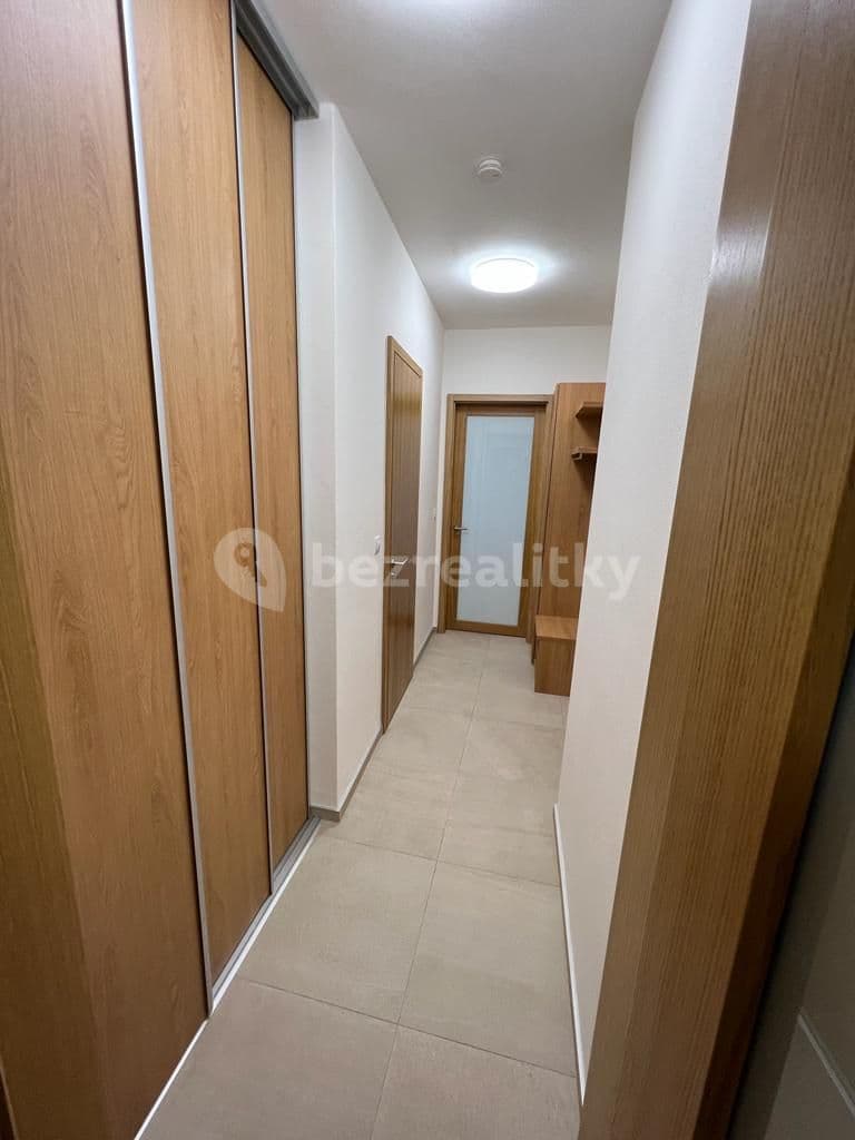 Pronájem bytu 2+kk 45 m², Šumavská, Brno, Jihomoravský kraj Pronájem bytu 2+kk 45 m², Šumavská, Brno, Jihomoravský kraj