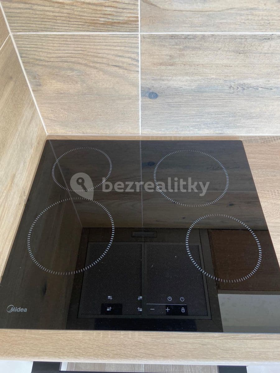 Pronájem bytu 1+1 35 m², U Zámeckého parku, Litvínov, Ústecký kraj Pronájem bytu 1+1 35 m², U Zámeckého parku, Litvínov, Ústecký kraj