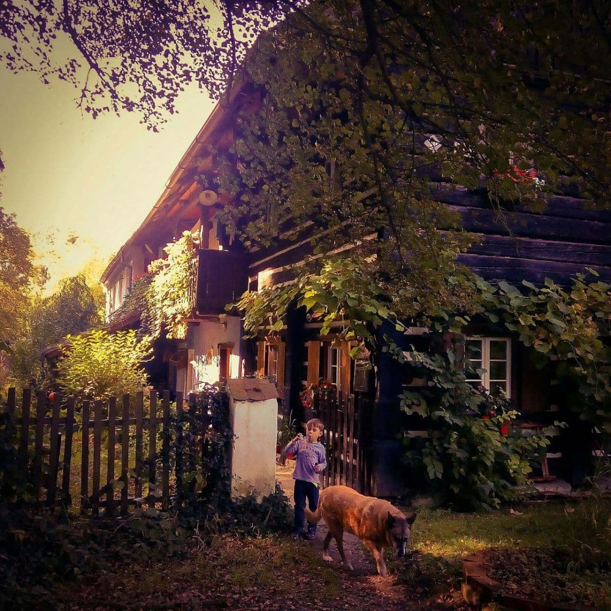 Pronájem chaty, chalupy, Úštěk, Ústecký kraj Pronájem chaty, chalupy, Úštěk, Ústecký kraj