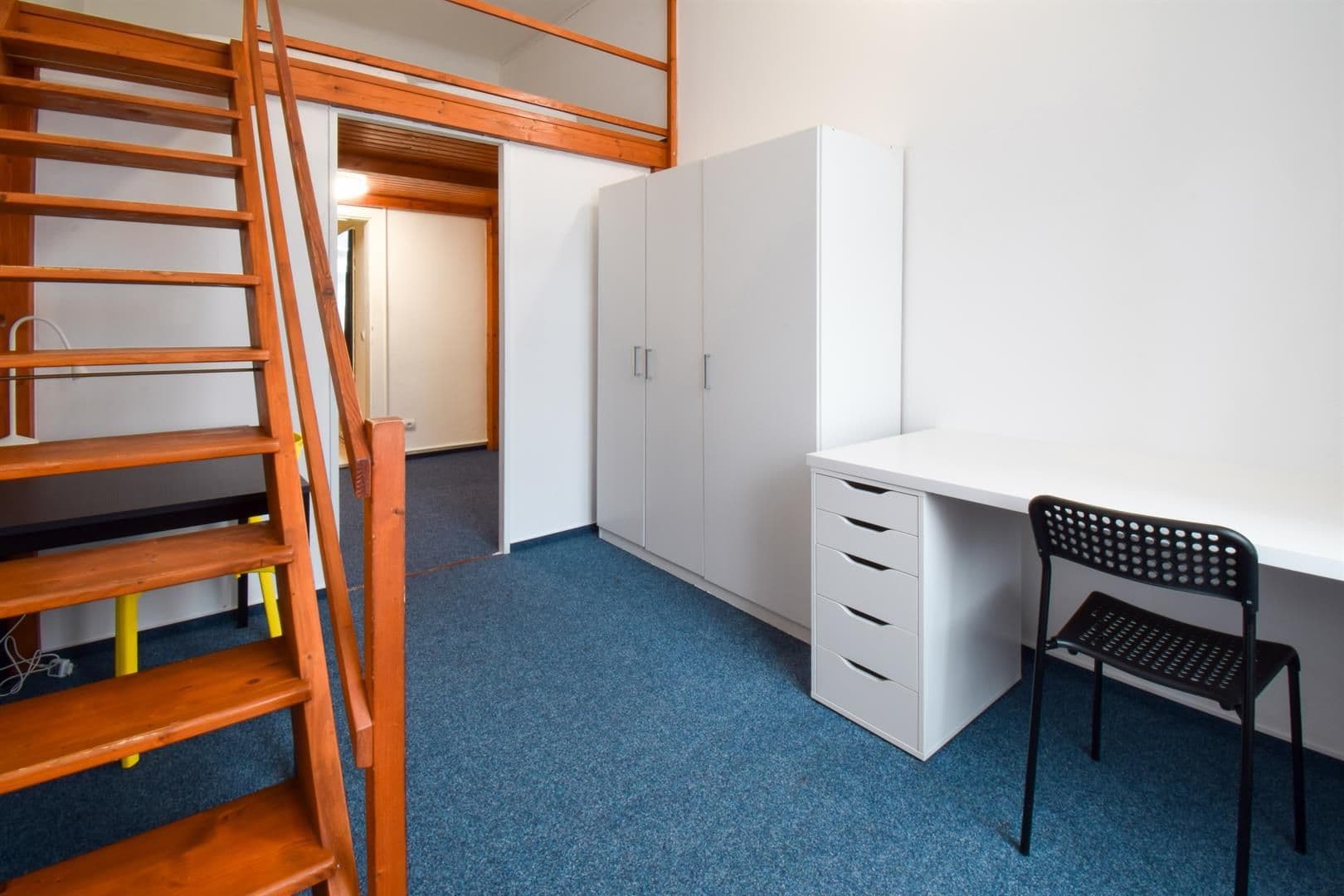Pronájem bytu 3+1 95 m², Václavská, Brno, Jihomoravský kraj Pronájem bytu 3+1 95 m², Václavská, Brno, Jihomoravský kraj