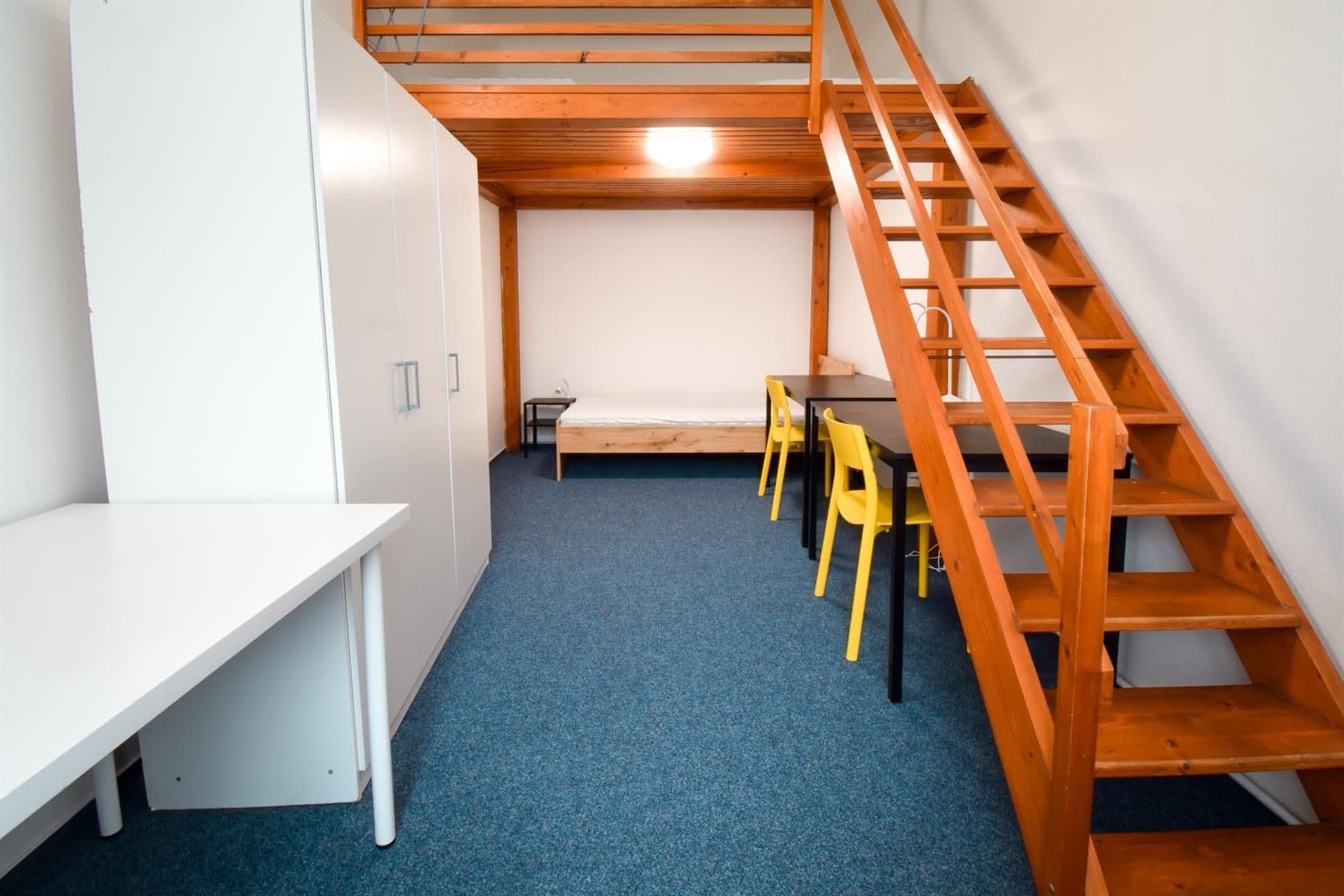 Pronájem bytu 3+1 95 m², Václavská, Brno, Jihomoravský kraj Pronájem bytu 3+1 95 m², Václavská, Brno, Jihomoravský kraj