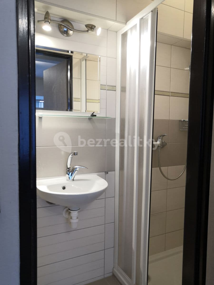 Pronájem bytu 1+kk 19 m², Jeřabinová, Brno, Jihomoravský kraj Pronájem bytu 1+kk 19 m², Jeřabinová, Brno, Jihomoravský kraj