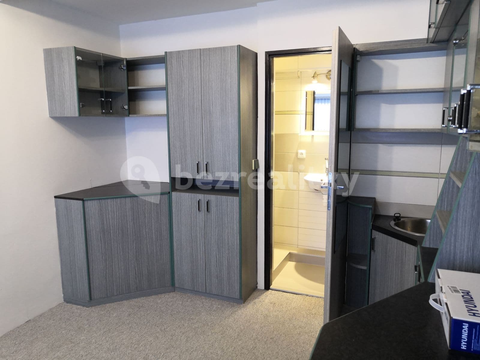 Pronájem bytu 1+kk 19 m², Jeřabinová, Brno, Jihomoravský kraj Pronájem bytu 1+kk 19 m², Jeřabinová, Brno, Jihomoravský kraj