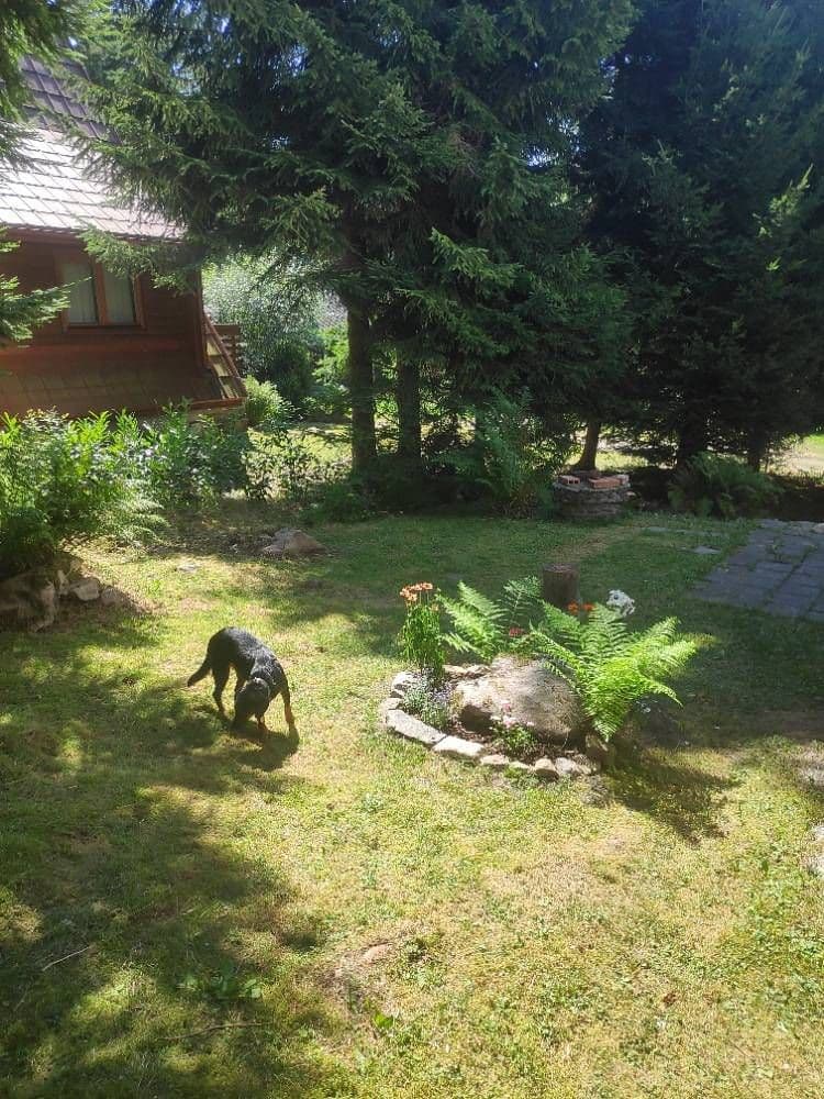 Pronájem chaty, chalupy, Nezdice na Šumavě, Plzeňský kraj Pronájem chaty, chalupy, Nezdice na Šumavě, Plzeňský kraj