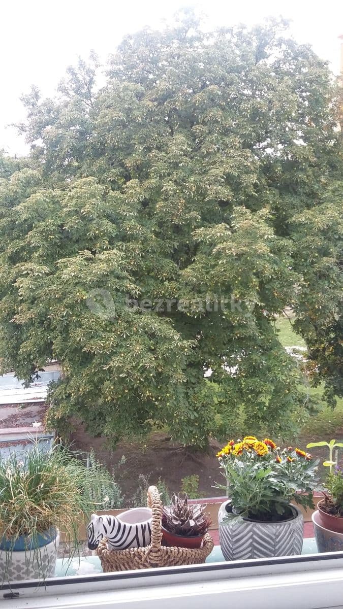 Pronájem bytu 1+kk 40 m², V Hlinkách, Beroun, Středočeský kraj Pronájem bytu 1+kk 40 m², V Hlinkách, Beroun, Středočeský kraj