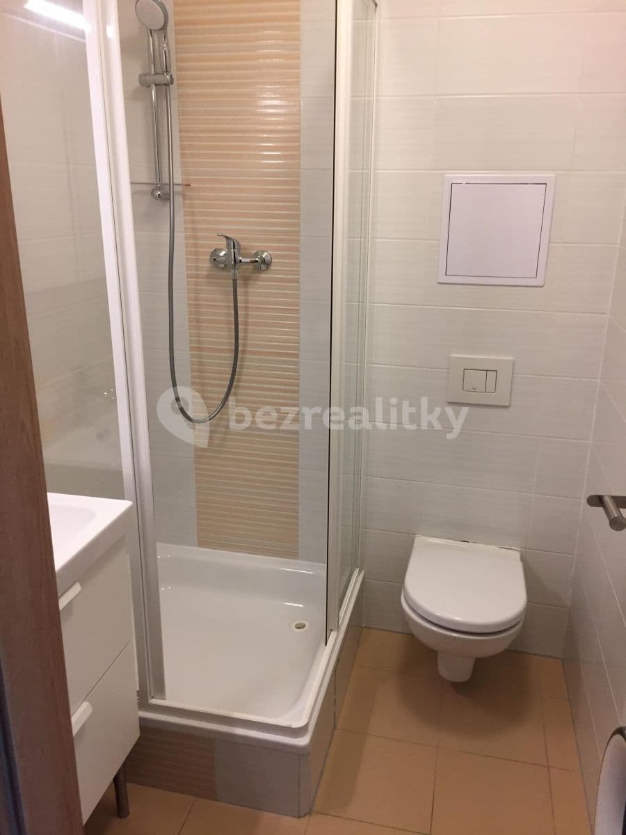 Pronájem bytu 1+kk 29 m², U Slovanky, Praha, Praha Pronájem bytu 1+kk 29 m², U Slovanky, Praha, Praha