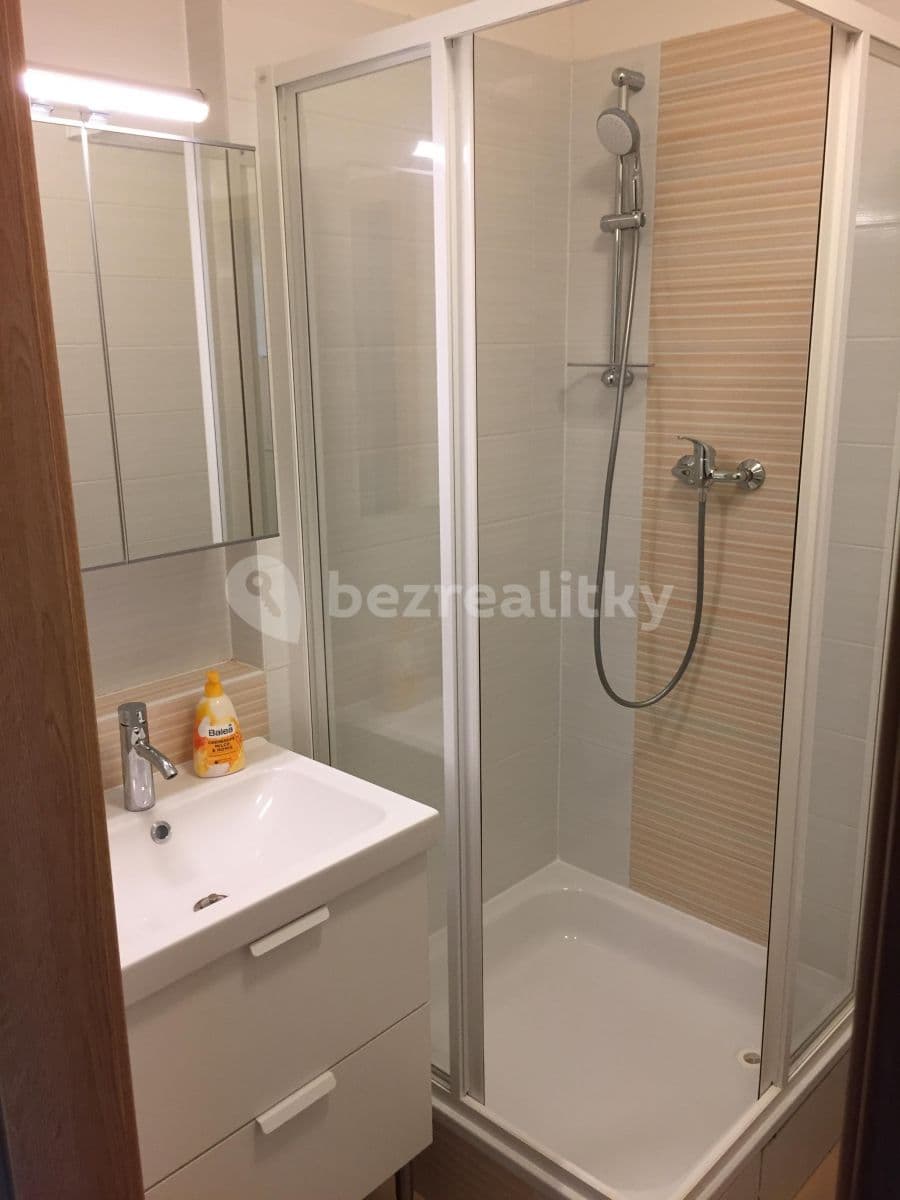 Pronájem bytu 1+kk 29 m², U Slovanky, Praha, Praha Pronájem bytu 1+kk 29 m², U Slovanky, Praha, Praha