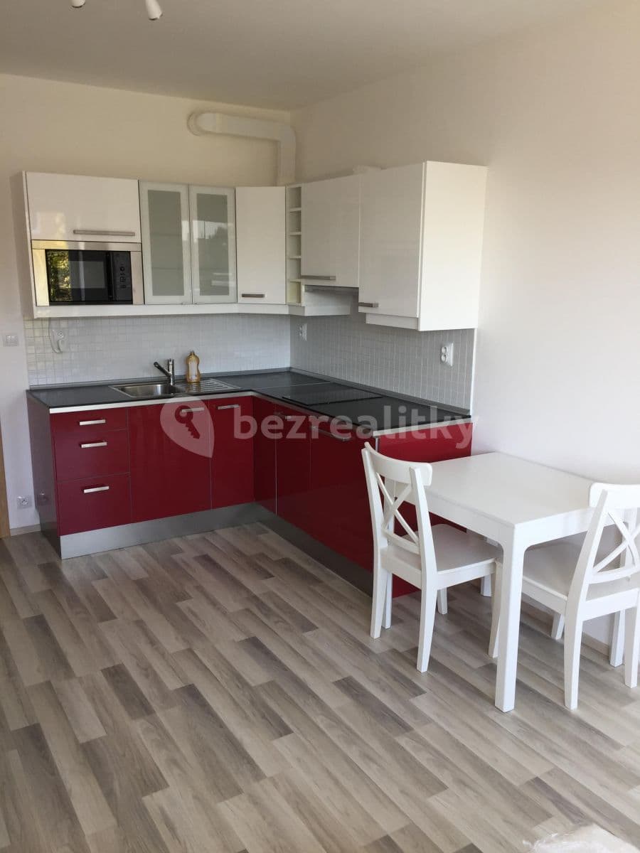 Pronájem bytu 1+kk 29 m², U Slovanky, Praha, Praha Pronájem bytu 1+kk 29 m², U Slovanky, Praha, Praha