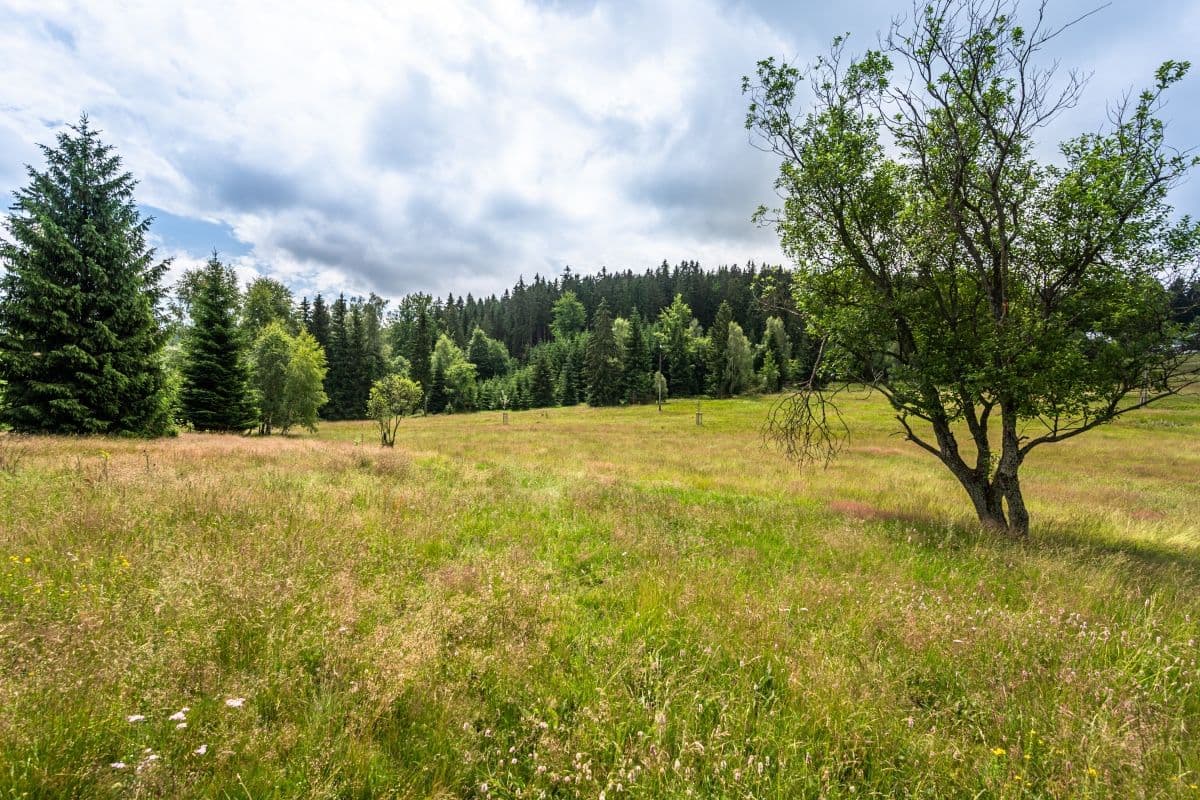 Prodej chaty, chalupy 112 m², pozemek 11.250 m², Kořenov, Liberecký kraj Prodej chaty, chalupy 112 m², pozemek 11.250 m², Kořenov, Liberecký kraj