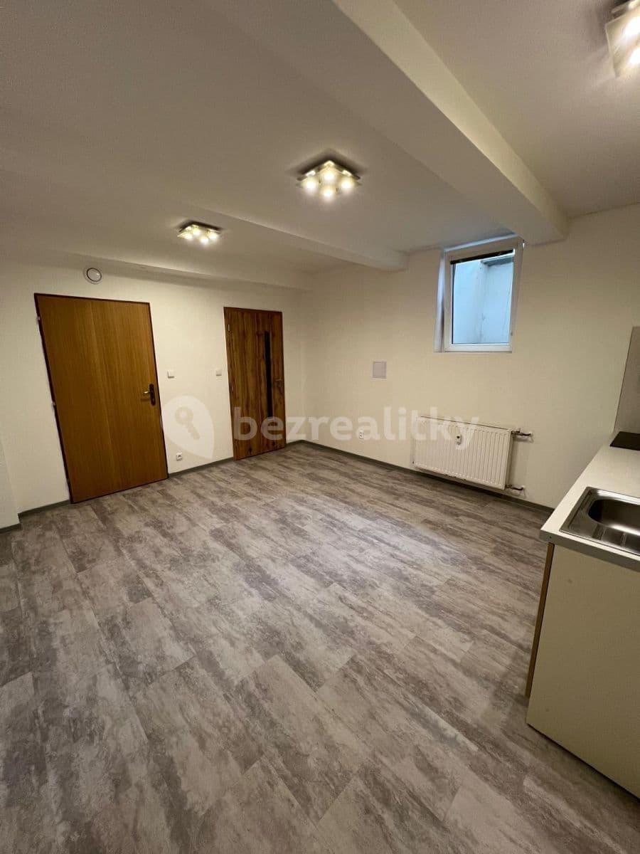 Pronájem bytu 1+kk 30 m², Netušilova, Brno, Jihomoravský kraj Pronájem bytu 1+kk 30 m², Netušilova, Brno, Jihomoravský kraj