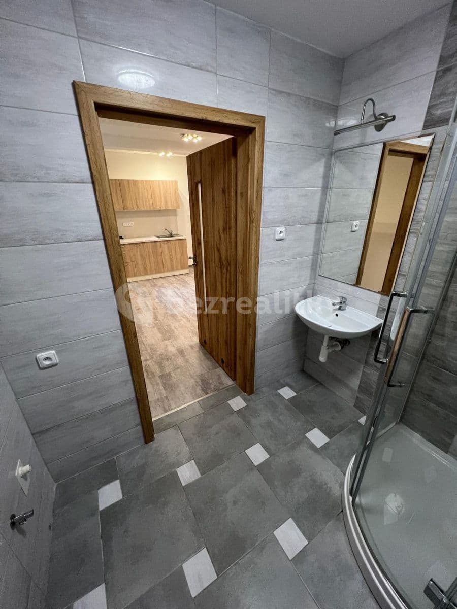 Pronájem bytu 1+kk 30 m², Netušilova, Brno, Jihomoravský kraj Pronájem bytu 1+kk 30 m², Netušilova, Brno, Jihomoravský kraj