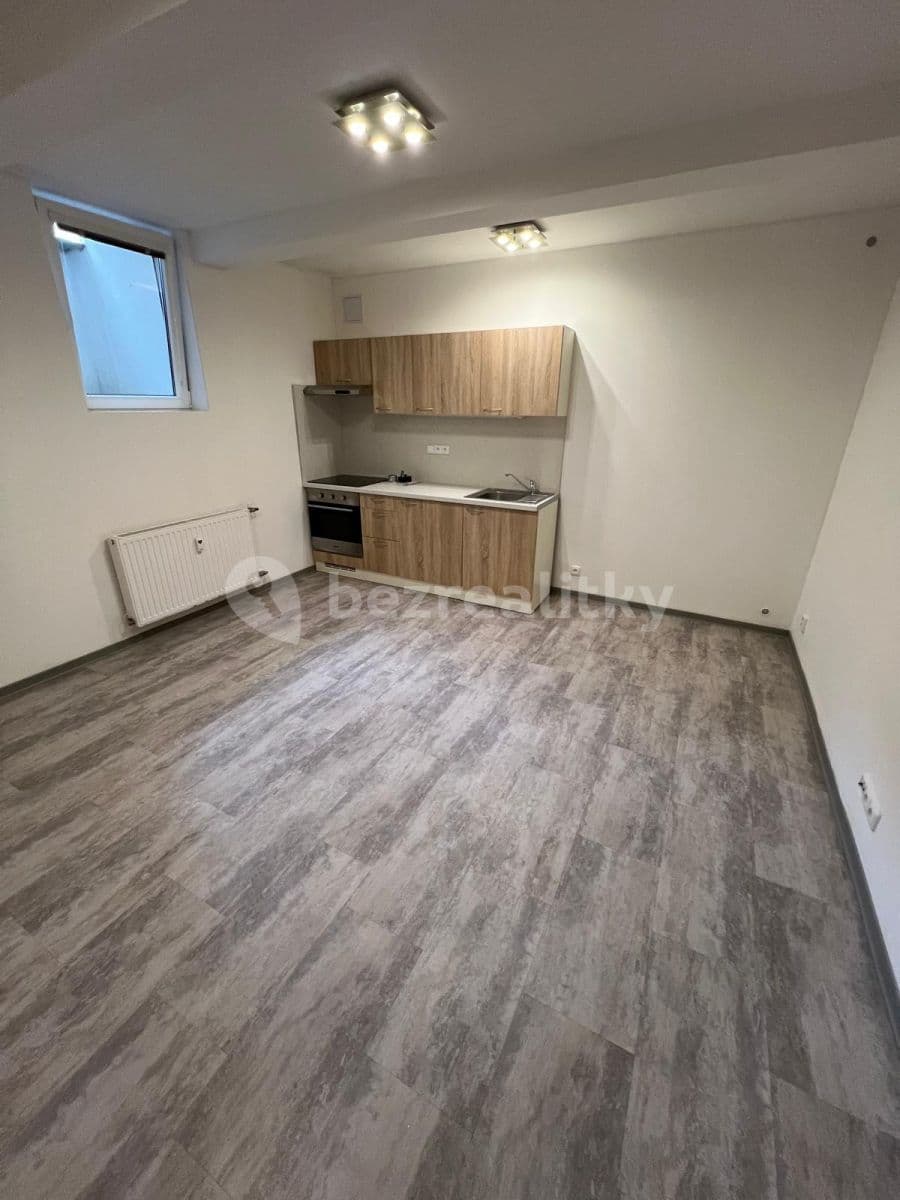 Pronájem bytu 1+kk 30 m², Netušilova, Brno, Jihomoravský kraj Pronájem bytu 1+kk 30 m², Netušilova, Brno, Jihomoravský kraj