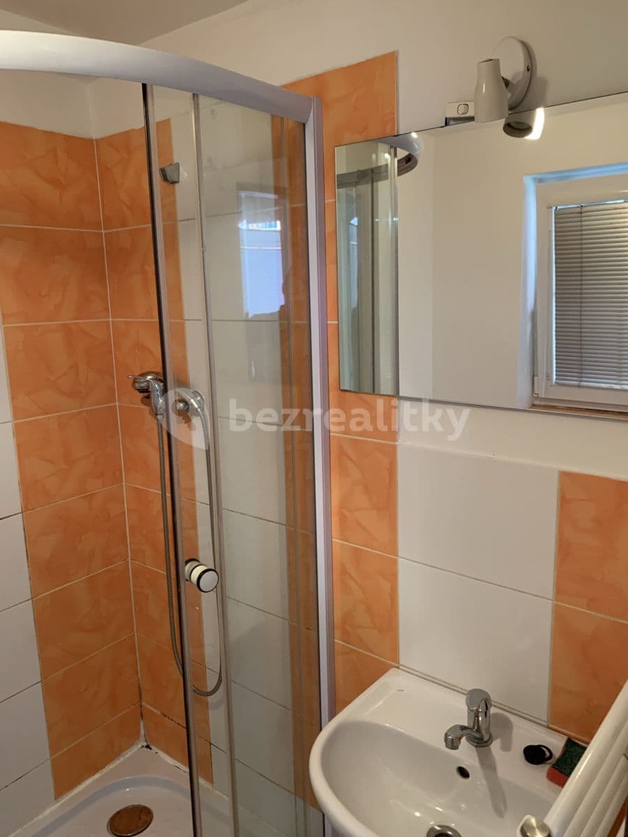 Pronájem bytu 1+kk 20 m², Praha, Praha Pronájem bytu 1+kk 20 m², Praha, Praha