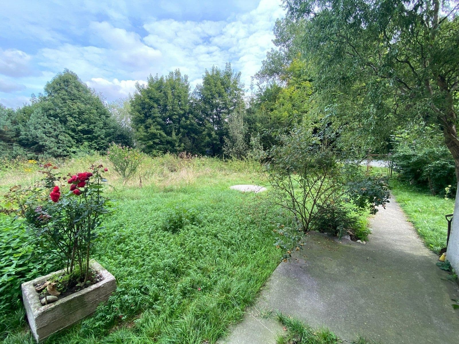 Pronájem bytu 1+1 44 m², Orlovská, Rychvald, Moravskoslezský kraj Pronájem bytu 1+1 44 m², Orlovská, Rychvald, Moravskoslezský kraj