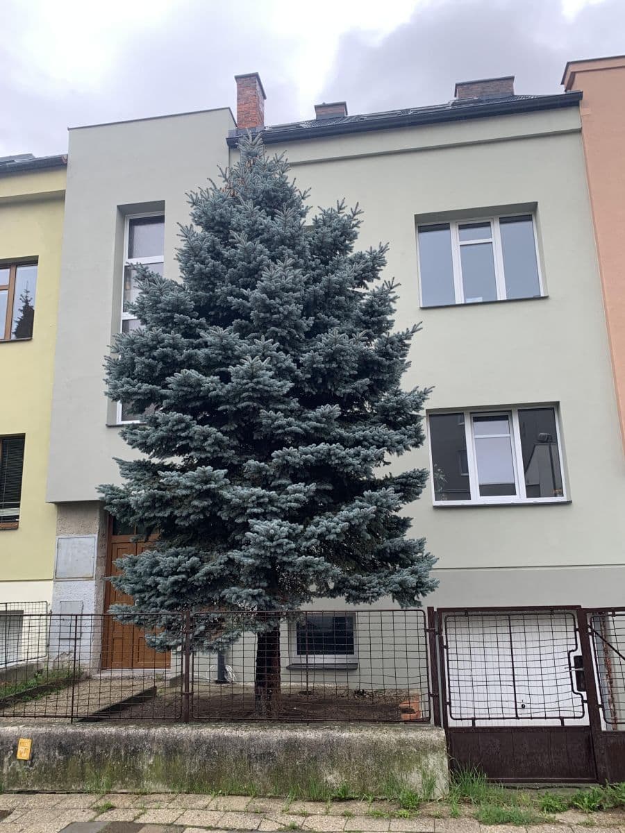 Pronájem bytu 2+1 75 m², Mišákova, Olomouc, Olomoucký kraj Pronájem bytu 2+1 75 m², Mišákova, Olomouc, Olomoucký kraj