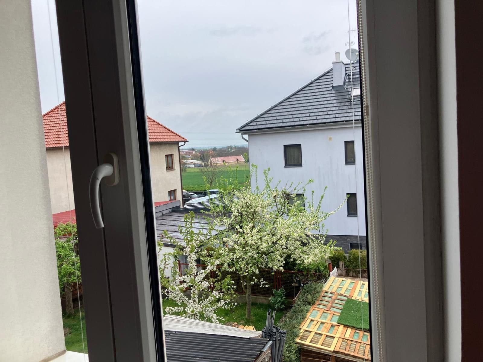 Pronájem bytu 2+1 65 m², Vysokoškolská, Praha, Praha Pronájem bytu 2+1 65 m², Vysokoškolská, Praha, Praha