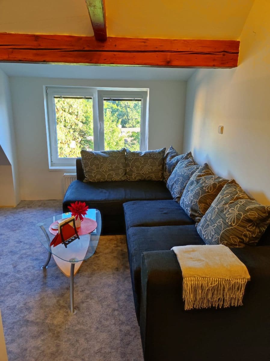 Pronájem bytu 1+1 70 m², Úzká, Nový Jáchymov, Středočeský kraj Pronájem bytu 1+1 70 m², Úzká, Nový Jáchymov, Středočeský kraj