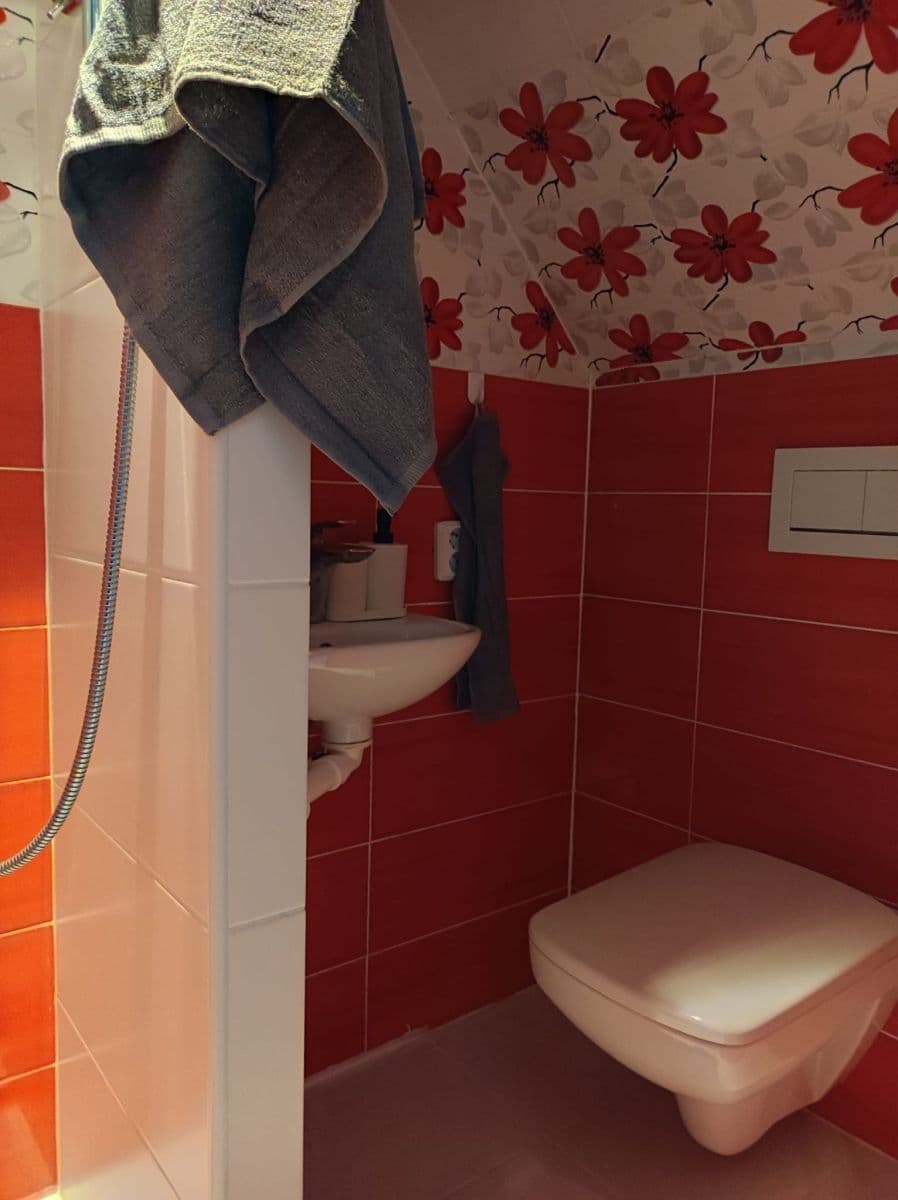 Pronájem bytu 1+1 70 m², Úzká, Nový Jáchymov, Středočeský kraj Pronájem bytu 1+1 70 m², Úzká, Nový Jáchymov, Středočeský kraj