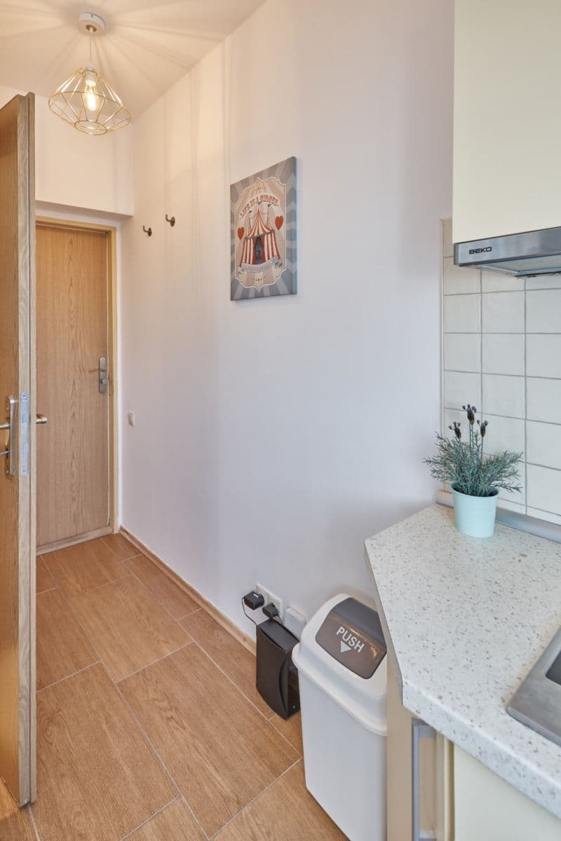 Pronájem bytu 1+kk 31 m², Ondřejská, Karlovy Vary, Karlovarský kraj Pronájem bytu 1+kk 31 m², Ondřejská, Karlovy Vary, Karlovarský kraj